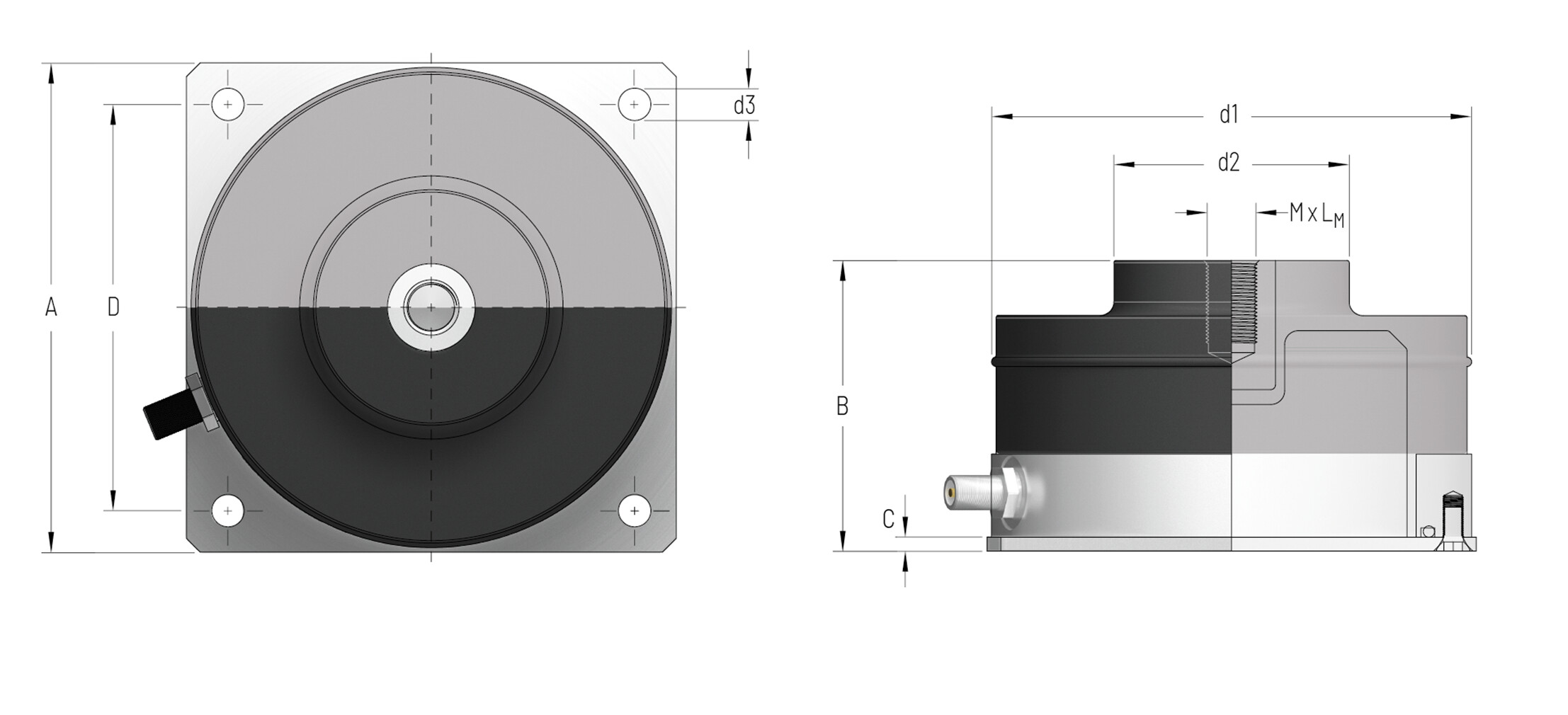 PLM-1