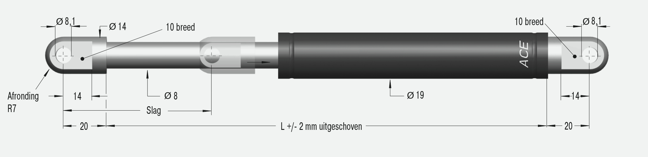 GS-19-100